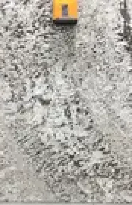 f7acff_e7d010c87e99458d8e377a97d444858a~mv2